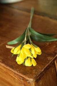Antique Flower Corsage-옐로우 크로커스