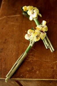 Antique Flower Corsage-노란팬지
